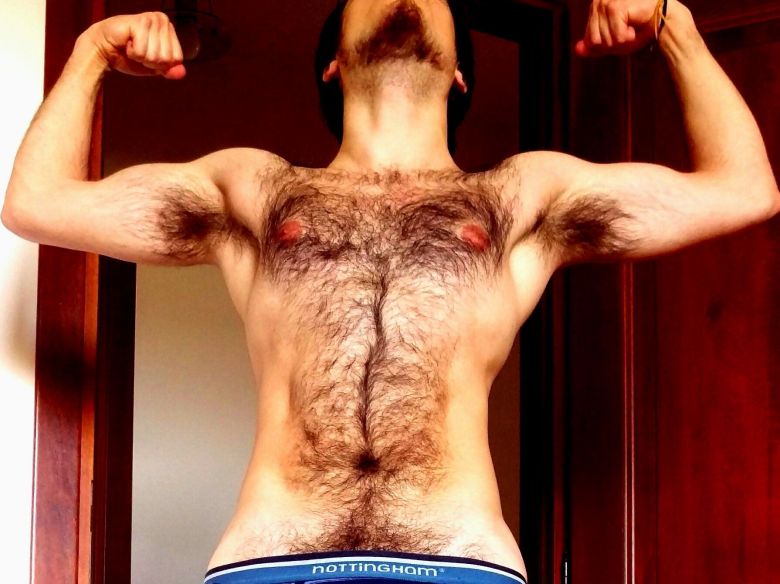 Perfil con Bearcat - Imagen  n°6