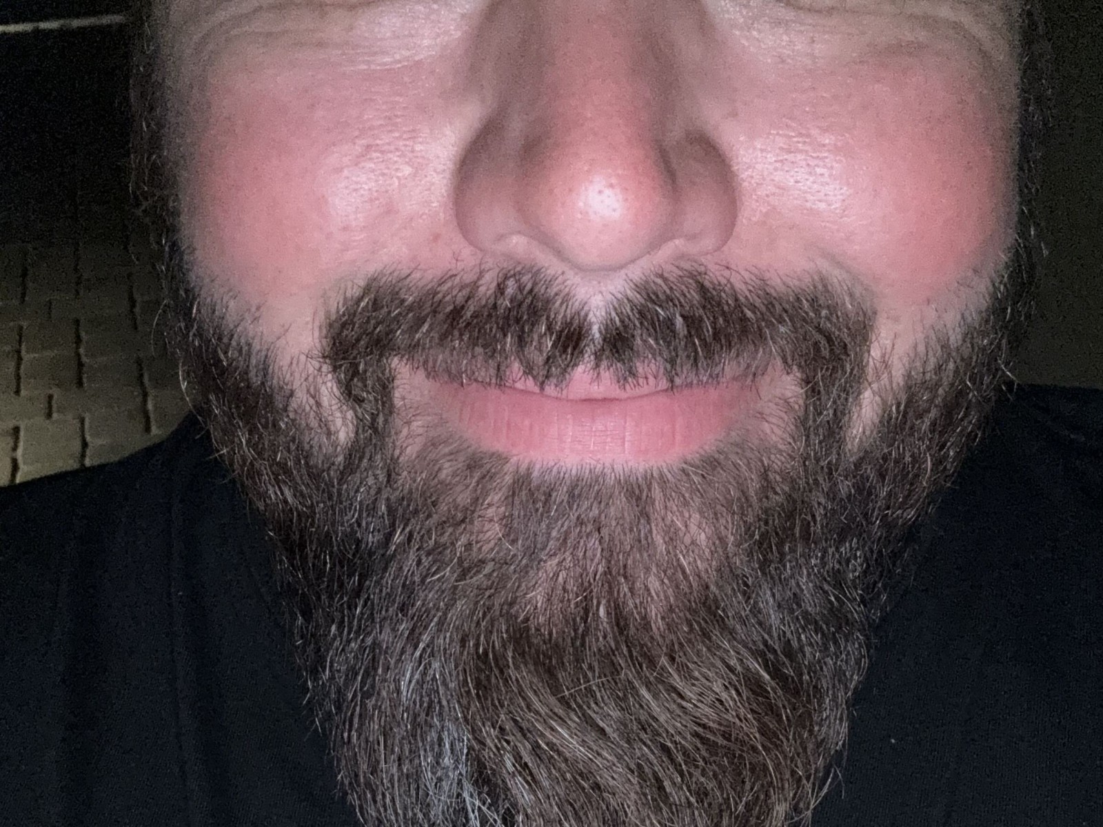 Bearbull's profile - Image n°1