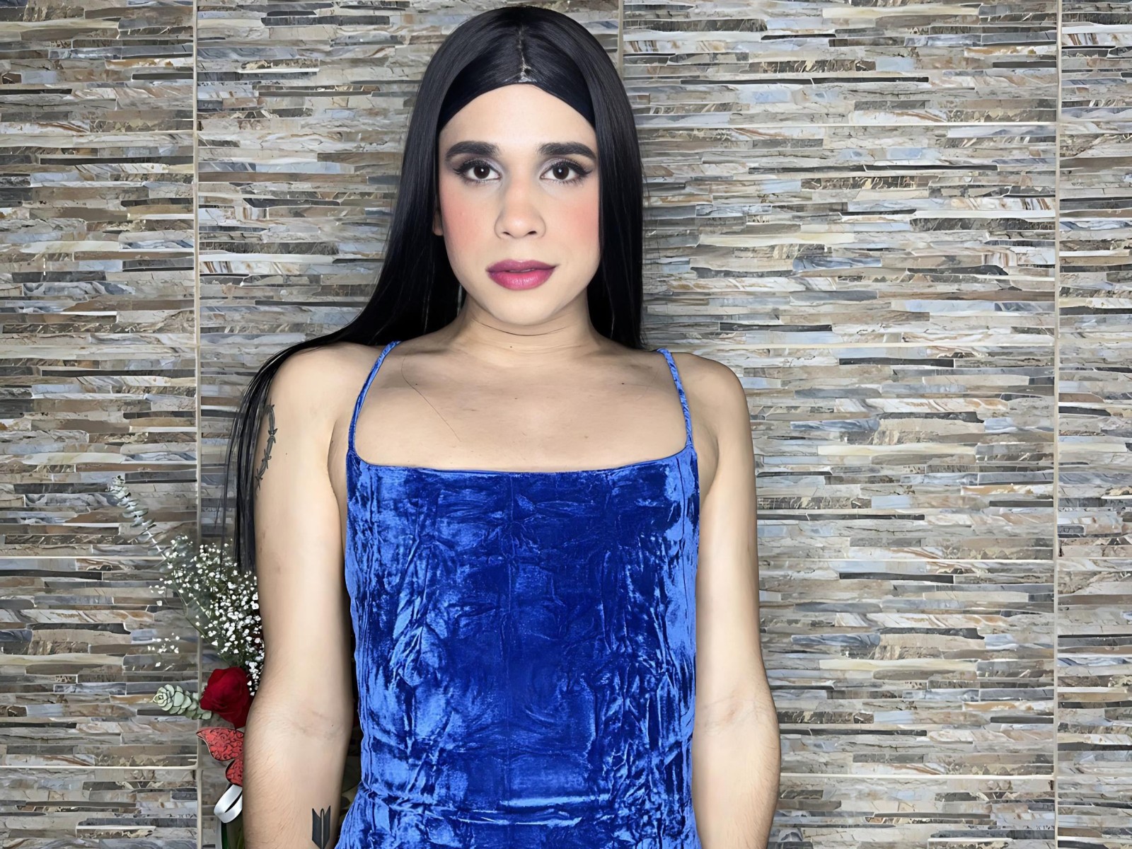 Bellacattleya's profile - Image n°1