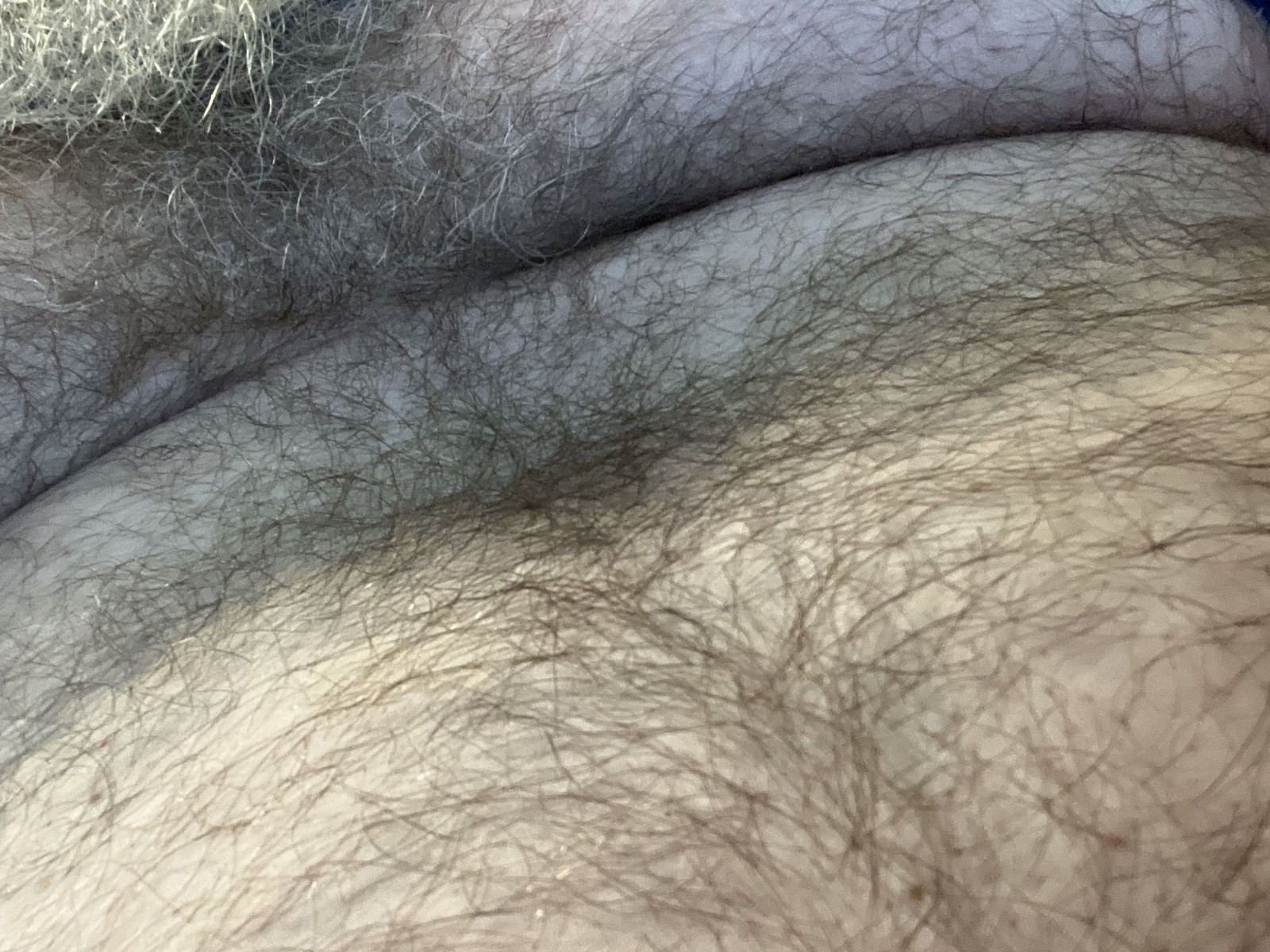 Bigbear24's profile - Image n°0