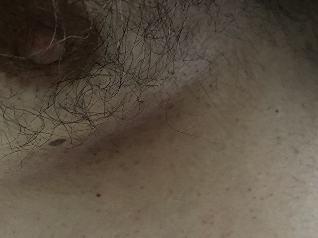 Bobplaisir's profile - Image n°0