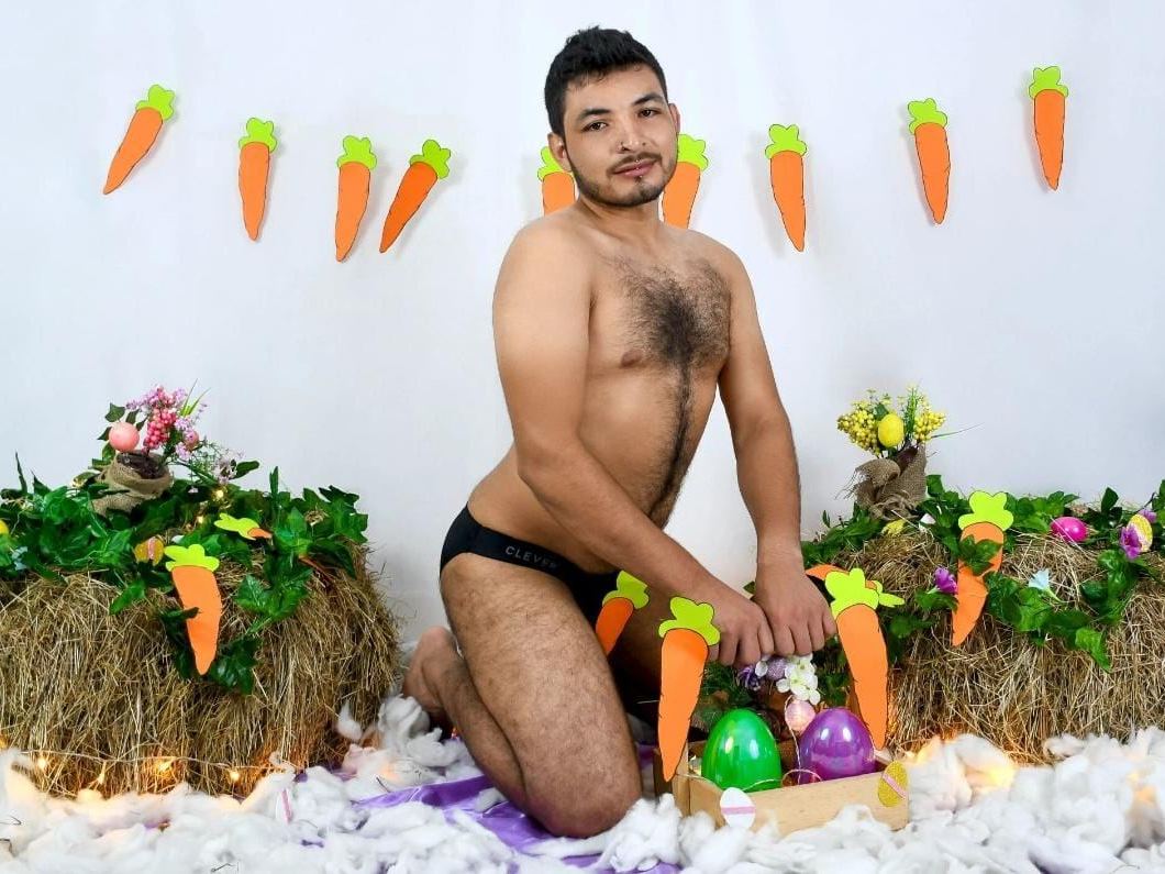 Brunosains's profile - Image n°0