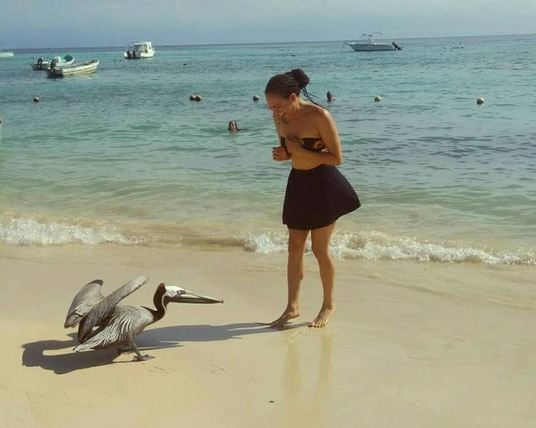 CarrieLevine's profiel - Afbeelding n°46