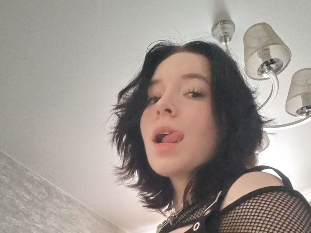 Calistaminis's profile - Image n°0
