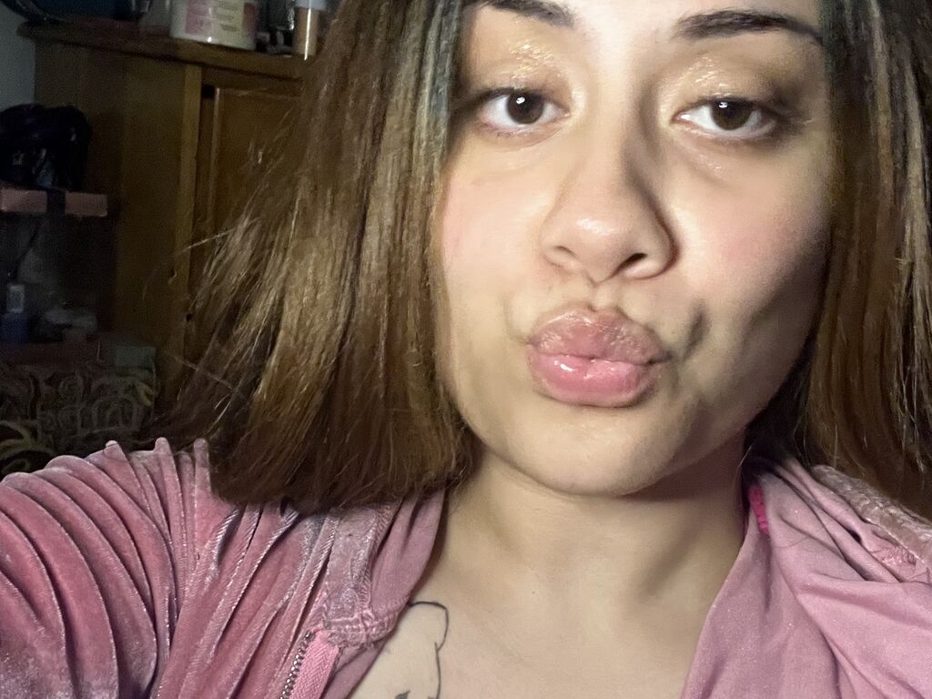 Perfil con Camilarx - Imagen  n°3