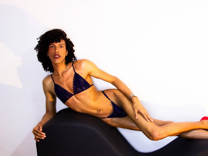 Perfil con Camilecedrik - Imagen  n°2