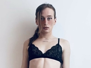 Profil de Cammytrans