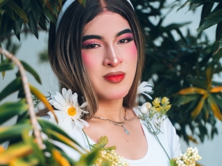 Profil de Camyraux