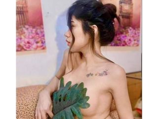 Profil de Cassyholmis