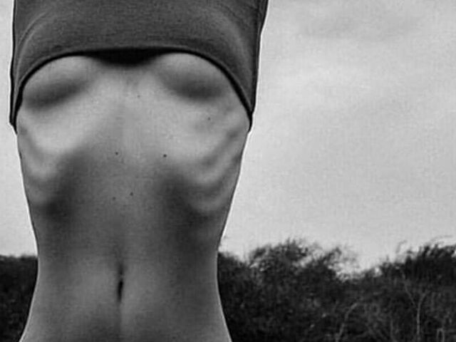 Catatomson's profile - Image n°6