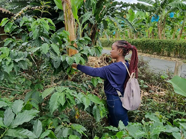 chelseyebon's profiel - Afbeelding n°67