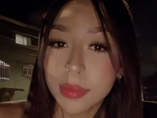 Christestevenn