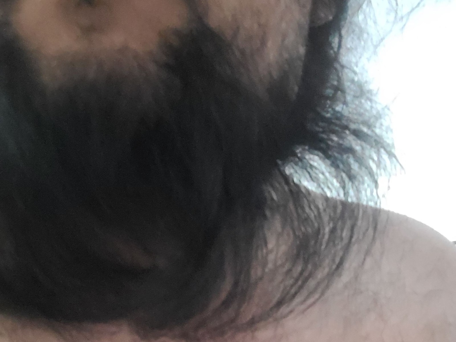 Profil de Chunksbear - Photo n°0
