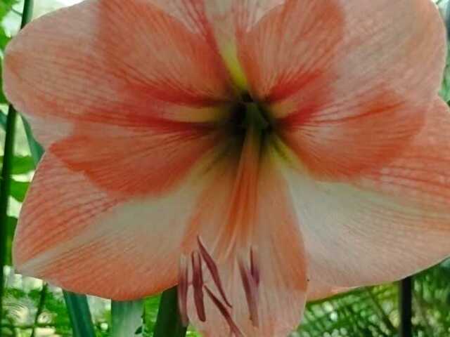 Petitlucie's Profil - Bild n°27