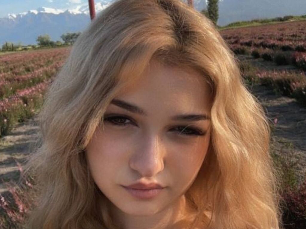 Cloudyfox's profile - Image n°0