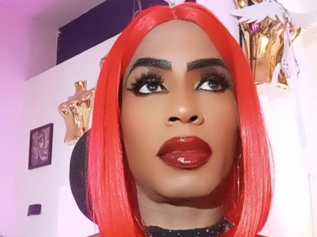 Perfil con Corwindallas24cm - Imagen  n°3