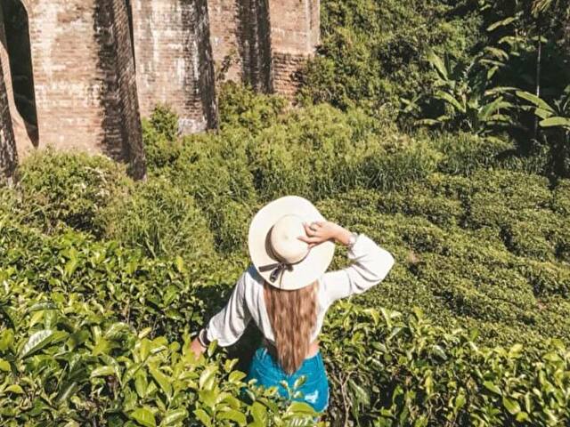 Perfil con CrazyLove - Imagen  n°5