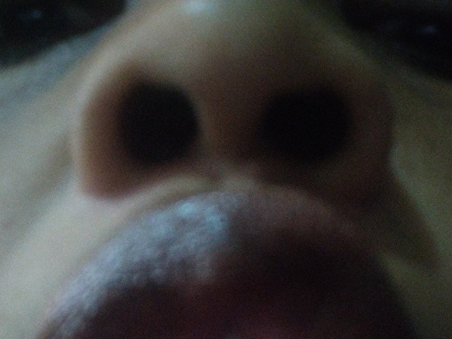 CrazzyBoobs's profiel - Afbeelding n°15