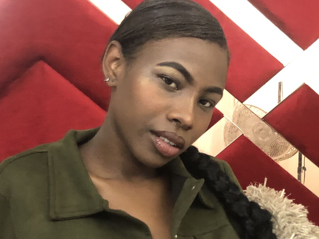 Crischelnovak' profilo - Immagine n°11