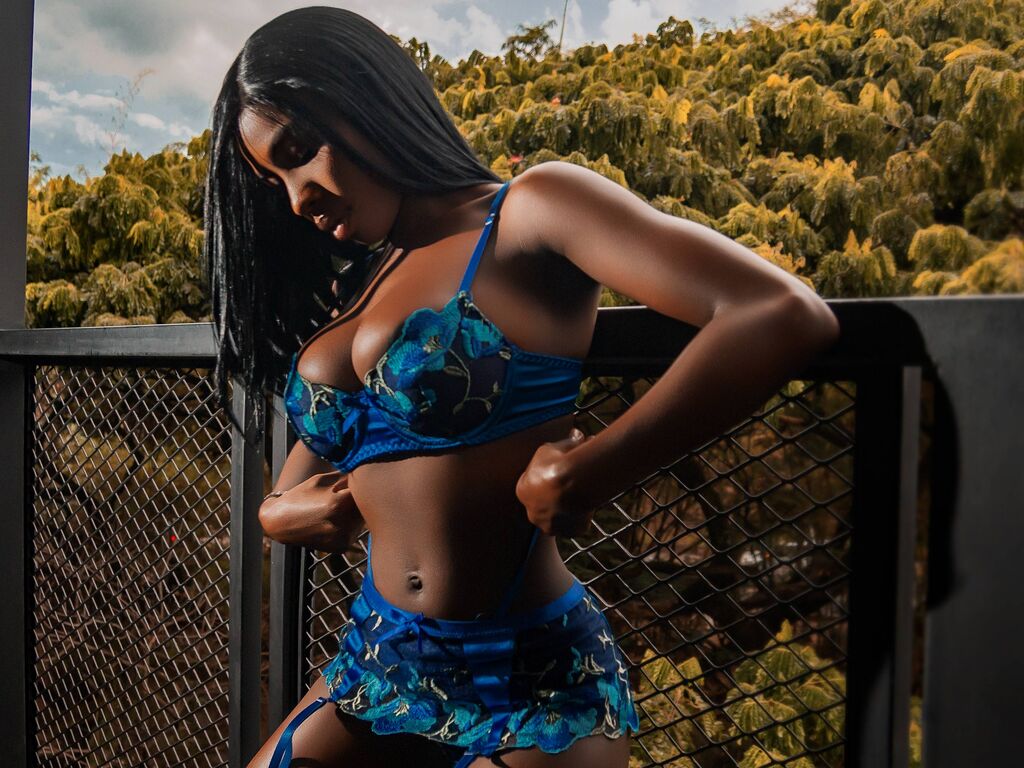 Crischelnovaks's profile - Image n°2