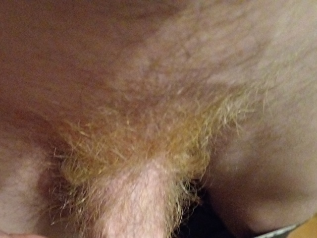 Cy8cgx7txxhi's Profil - Bild n°11