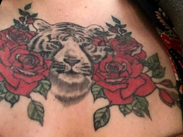 Dadotigresse's profile - Image n°13