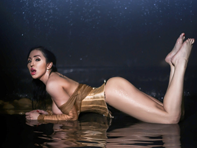 Perfil con Phylistylip - Imagen  n°8