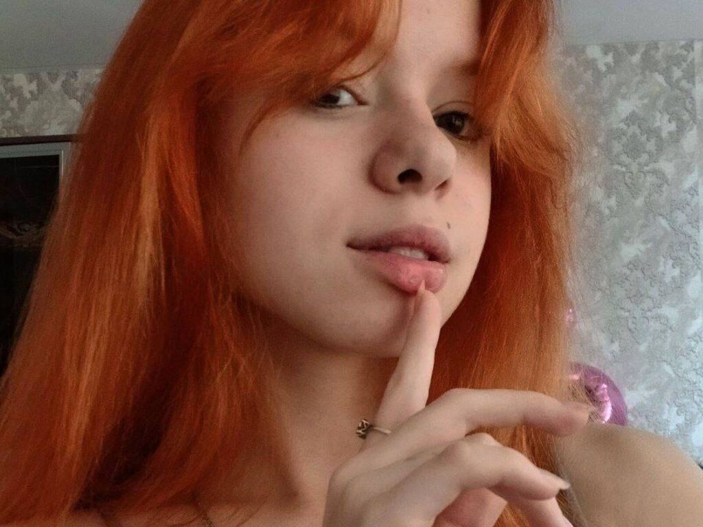 Perfil con Damariscolvin - Imagen  n°0