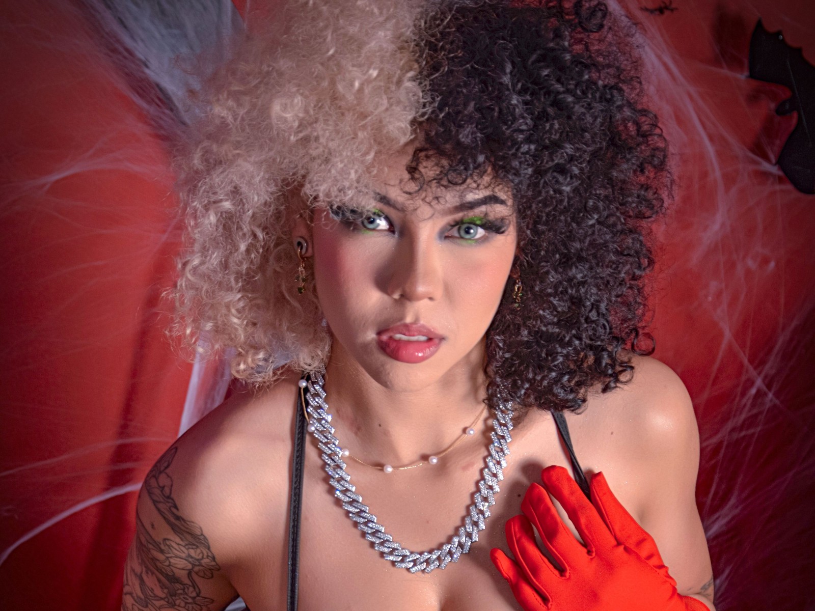 Danaecelis's profile - Image n°2