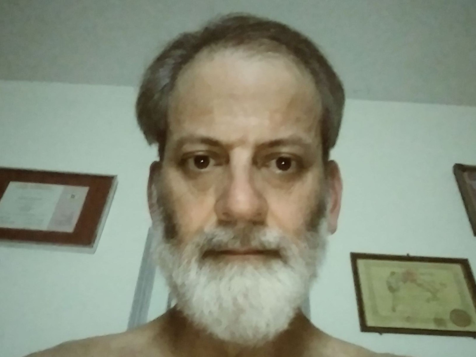Dannyblitz's profile - Image n°0