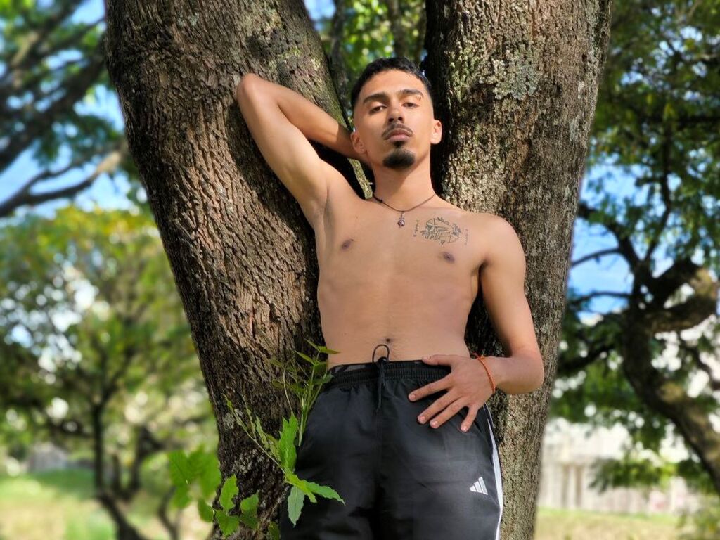 Dantethomposon's profile - Image n°0