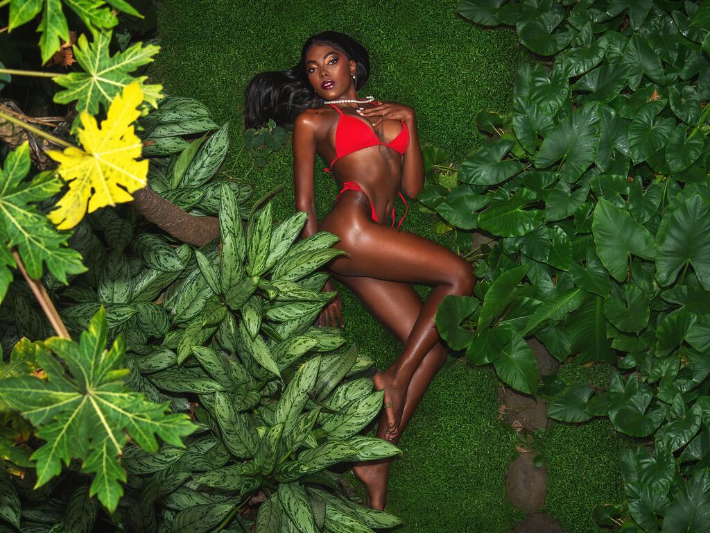 Perfil con Danwoods - Imagen  n°0