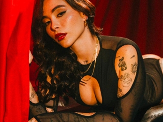 Profil de DarkVelvet