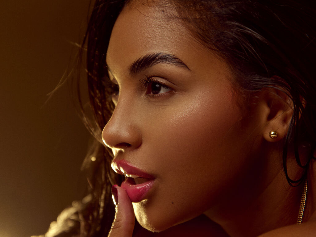Perfil con dayanakeilers - Imagen  n°1