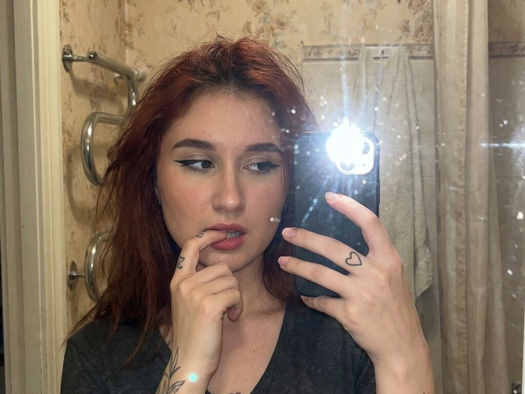 Perfil con Denagaters - Imagen  n°1