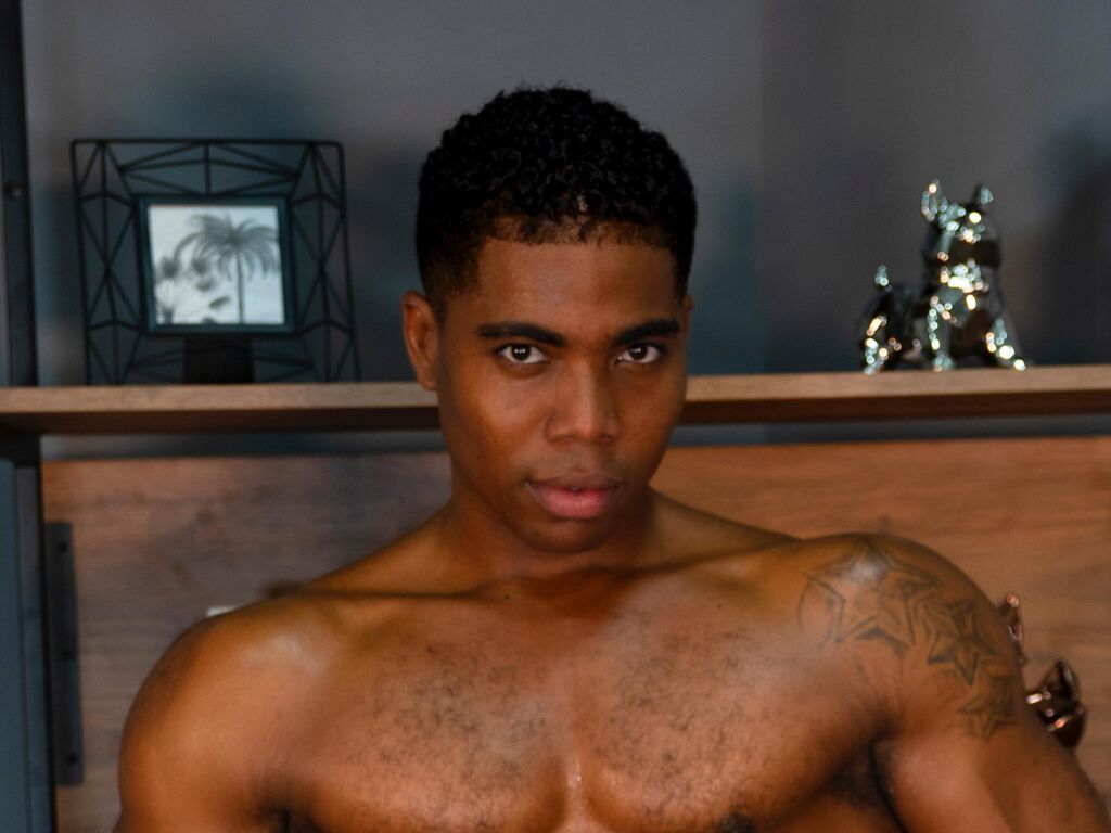 Perfil con Diamondblack - Imagen  n°0