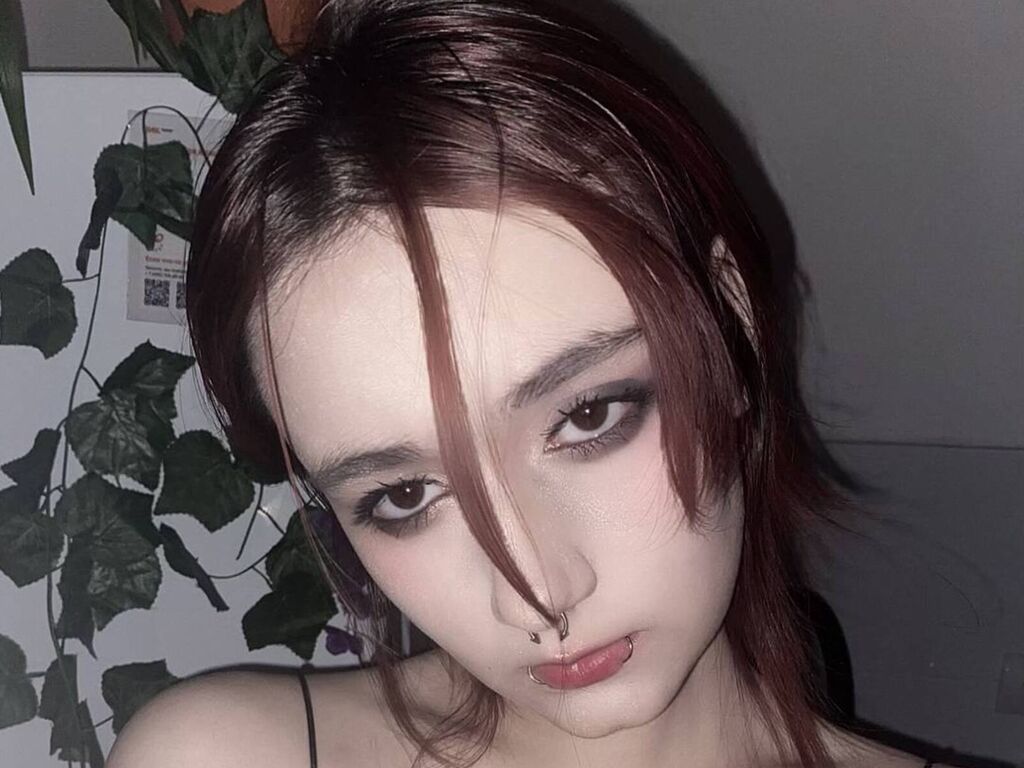 Dianscullion' profilo - Immagine n°0