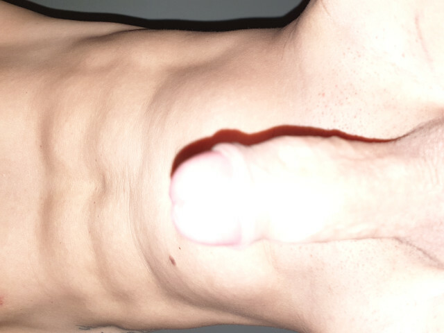Dinoxl's profile - Image n°3
