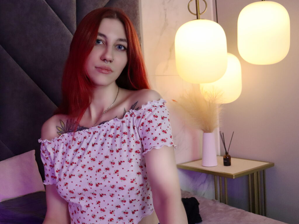 Perfil con Ditacammeron - Imagen  n°1