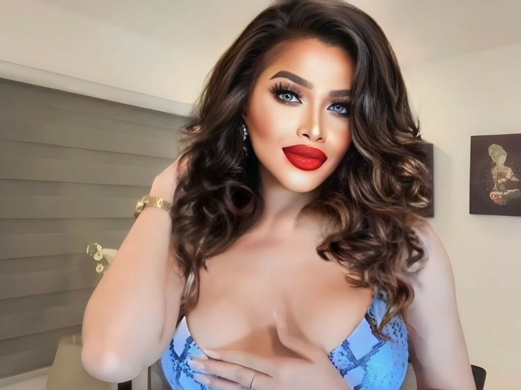 Perfil con Dixiegray - Imagen  n°5