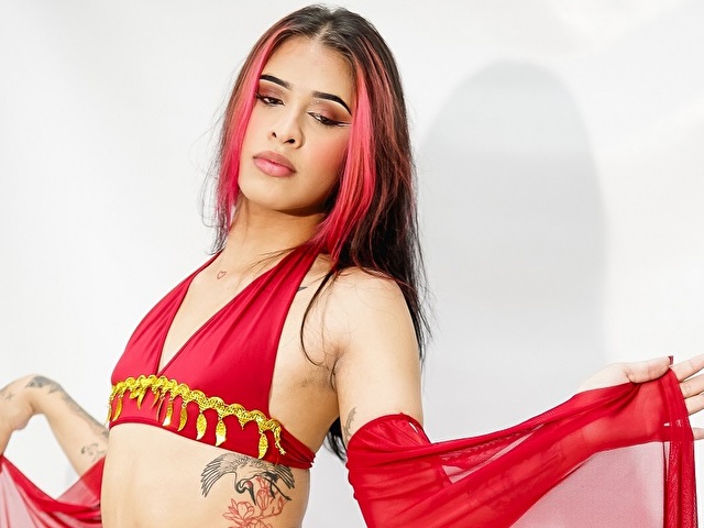 Dixypalmer's Profil - Bild n°7