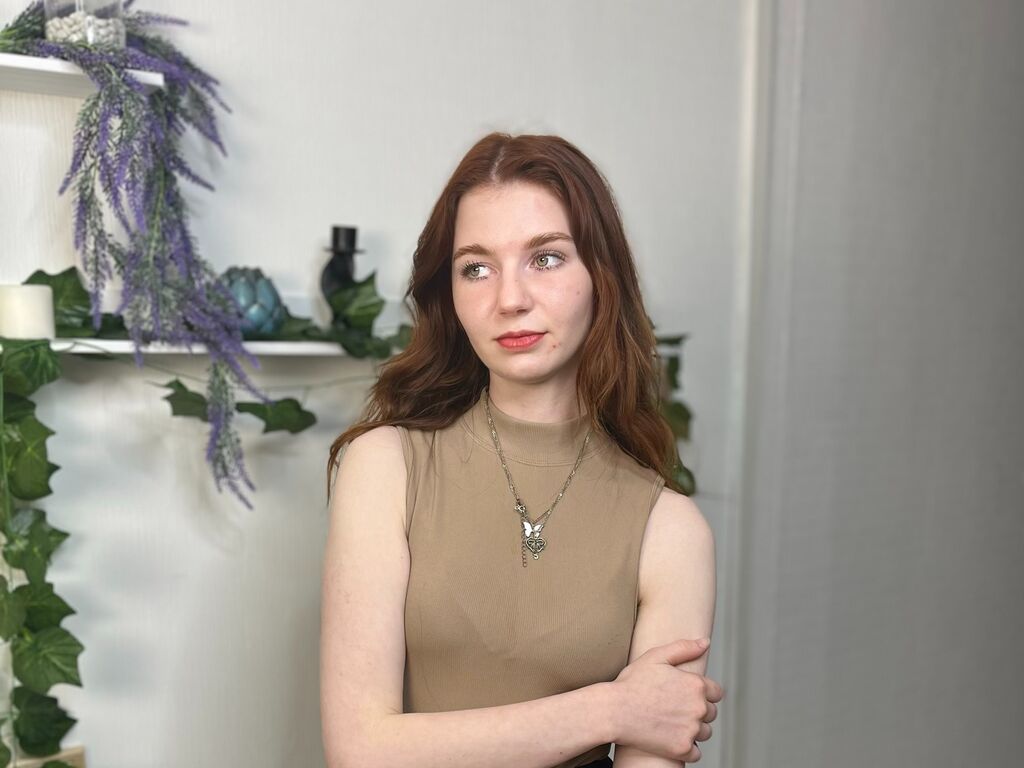 Dominoferryman's profile - Image n°0