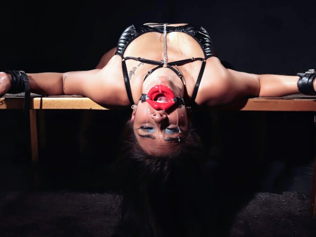 Donatellamyllar's profile - Image n°1