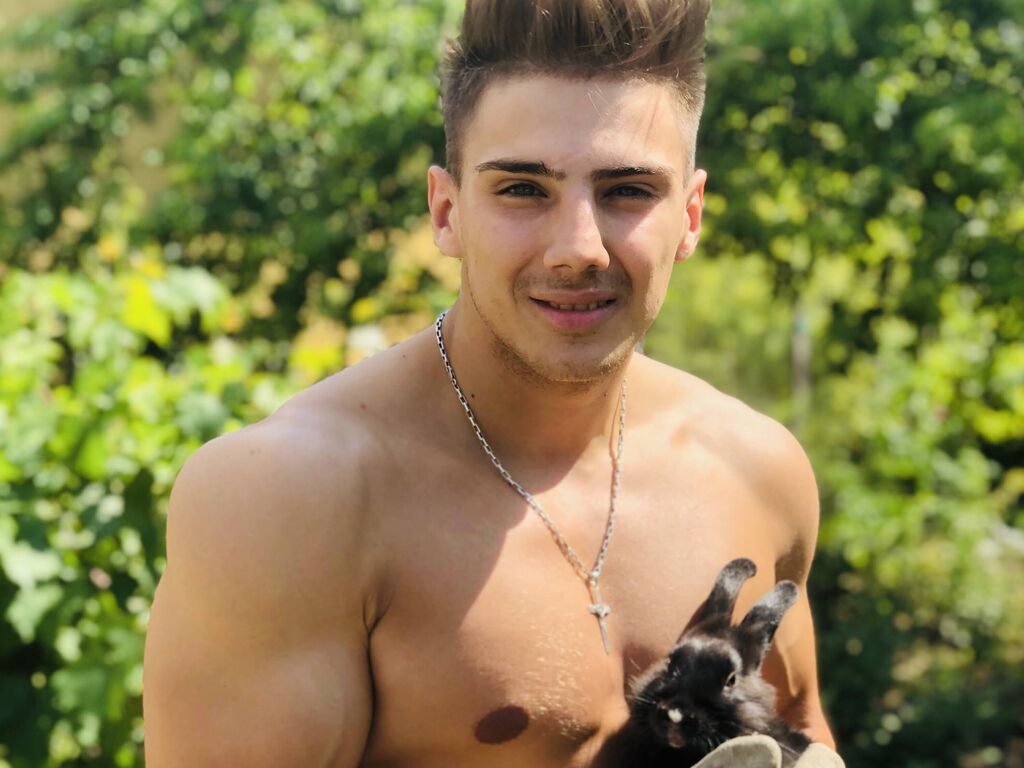 Dustiinkent' profilo - Immagine n°0