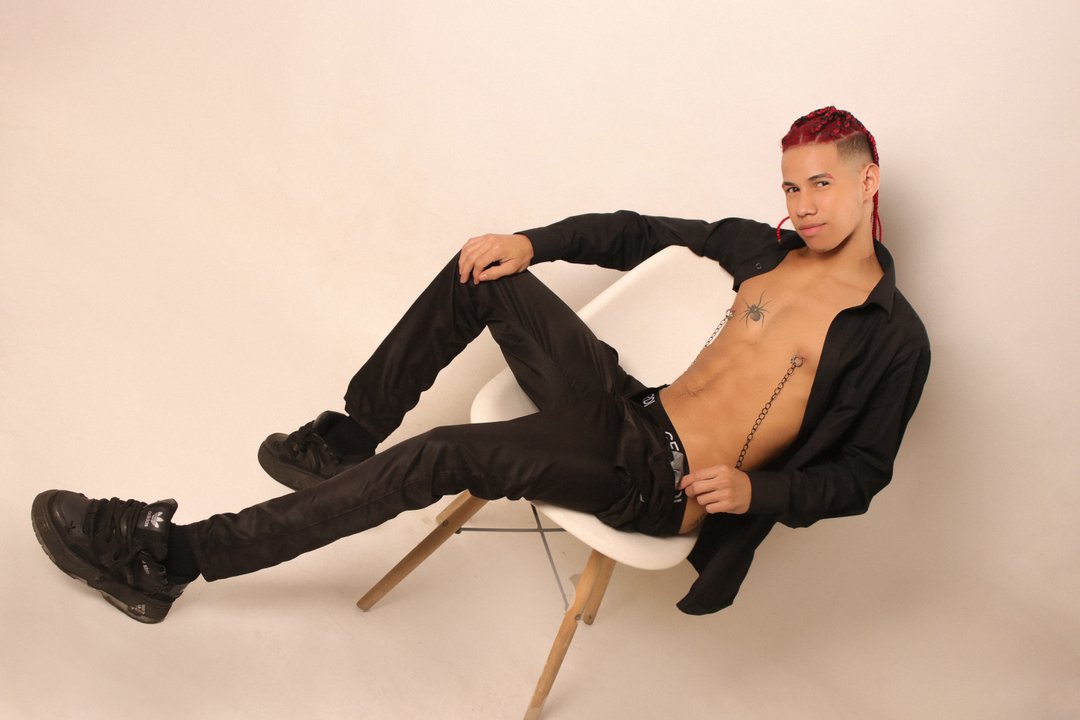 Perfil con Erick_Zhimerman - Imagen  n°1