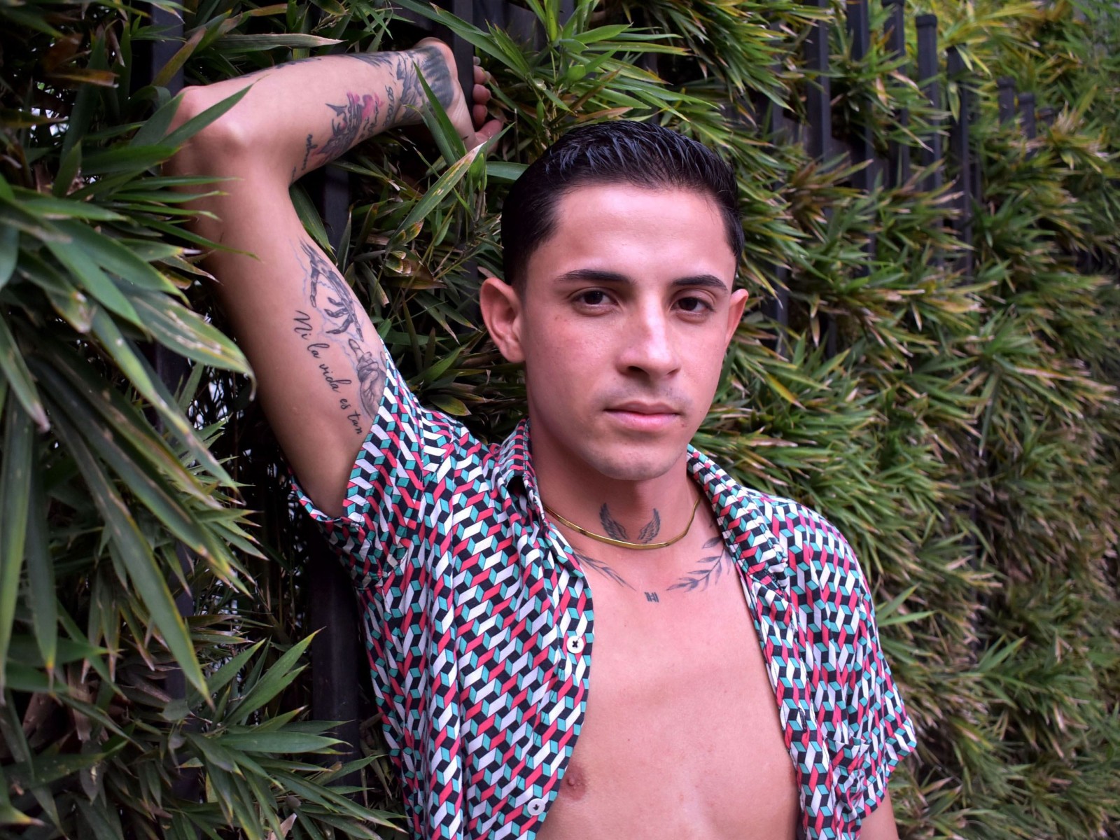 Perfil con Erickwall - Imagen  n°0