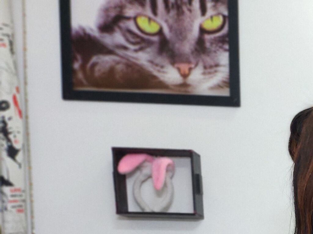 Estefanandmary's profile - Image n°3