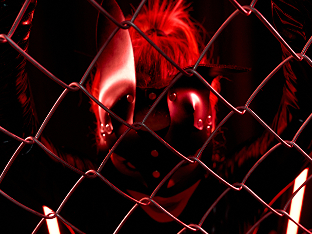estrellajons's profile - Image n°0