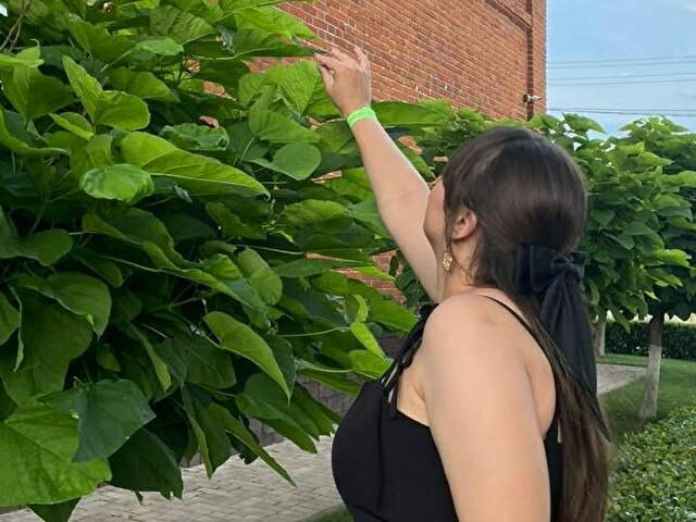 Evadreams's profile - Image n°2