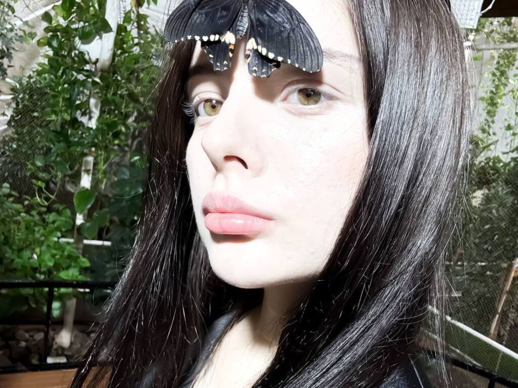 Evagraf's profile - Image n°0